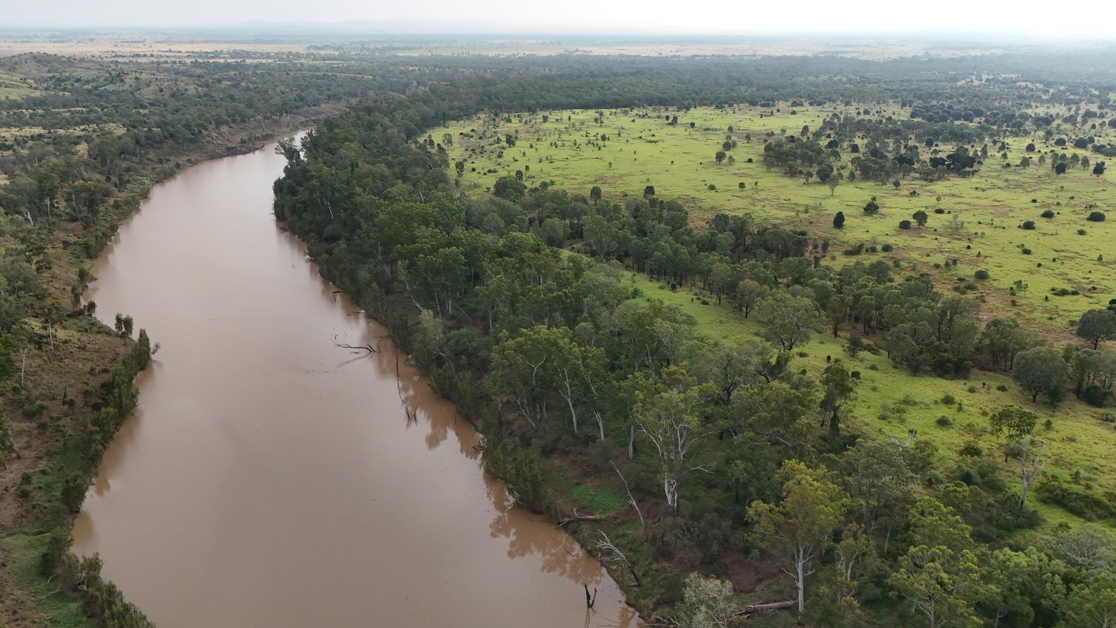 A river running beside trees and pasture at Moora Plains